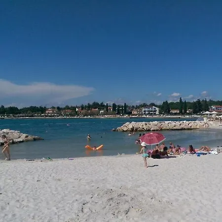 Prodan Porec